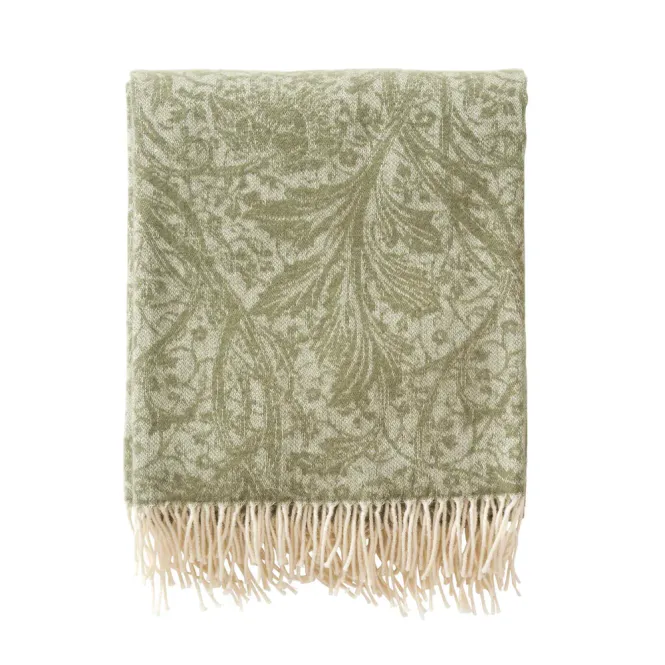 Hovedbilde Arcadia - Olive